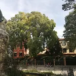 Olivolo