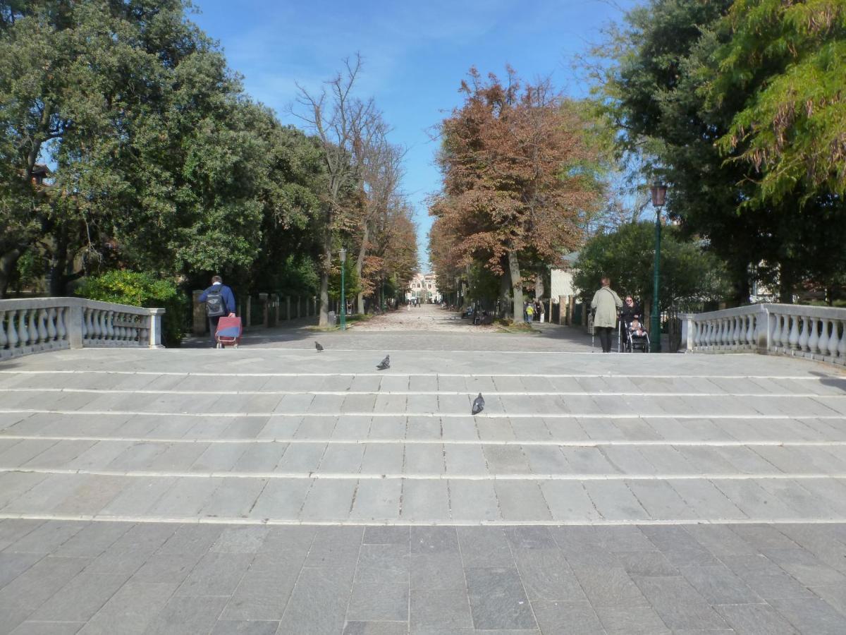 Olivolo