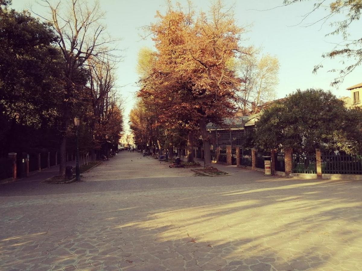 Olivolo *
